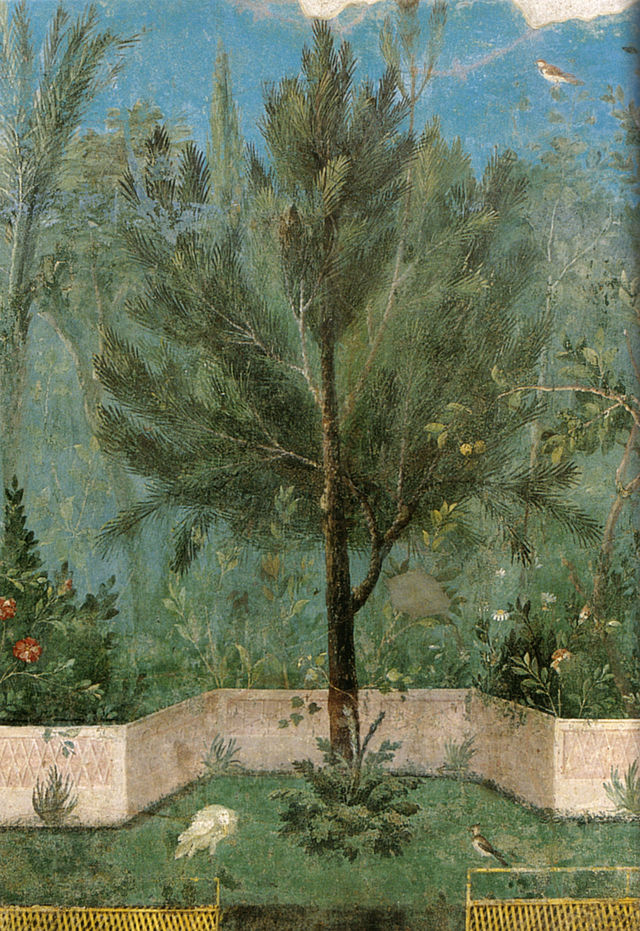 640px-Villa_di_livia,_affreschi_di_giardino,_parete_corta_settentrionale,_pino