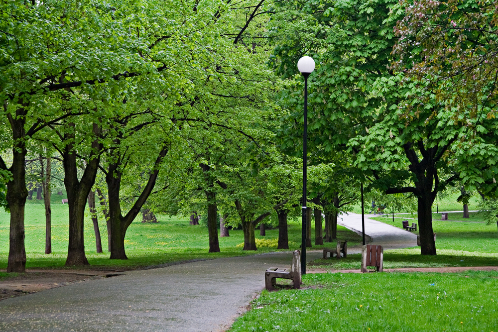 banc-dans-le-parc